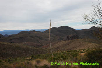 BigBend38