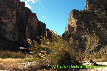 BigBend46