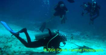 LobsterStandoff