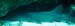 Shark2