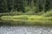 Oregon015
