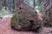 Oregon023