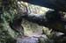 Oregon049