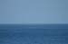 Oregon054