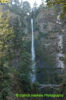 Oregon008