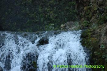 Oregon009