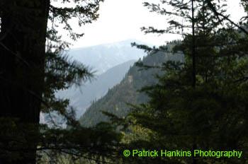 Oregon011