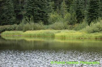 Oregon015