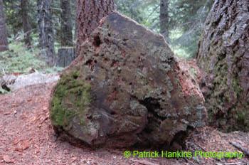 Oregon023
