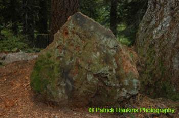 Oregon024
