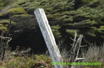 Oregon052