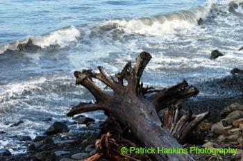 Oregon053