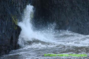Oregon055