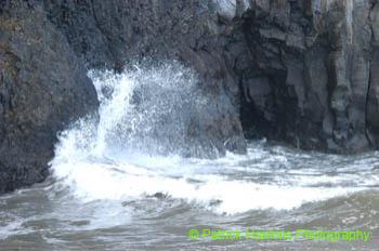 Oregon056