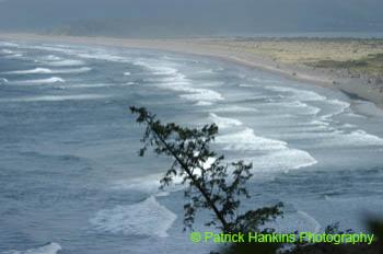 Oregon058