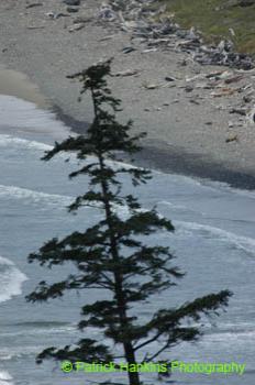 Oregon059