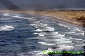 Oregon061