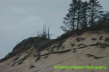 Oregon064